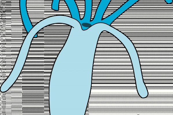 Ссылка на кракен онион